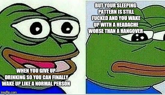 Memes of my life V