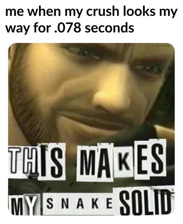 Solid snake