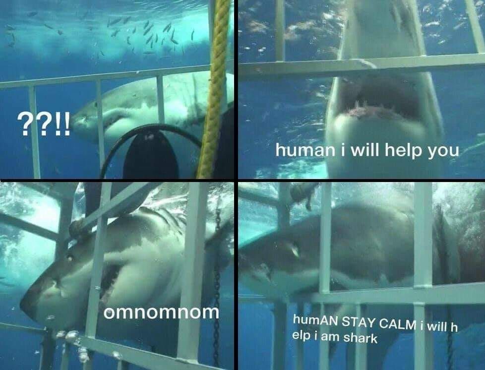 Wholesome