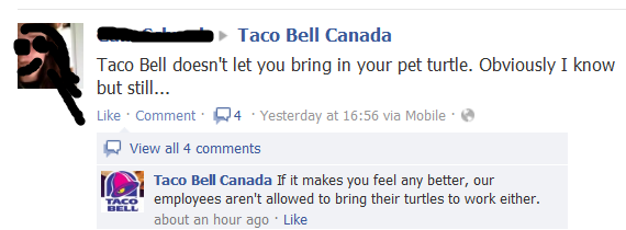Taco Bell's policy on turtles