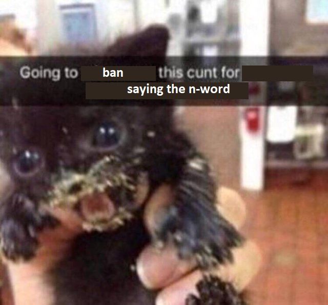 leaked footage of the admins before banning posh