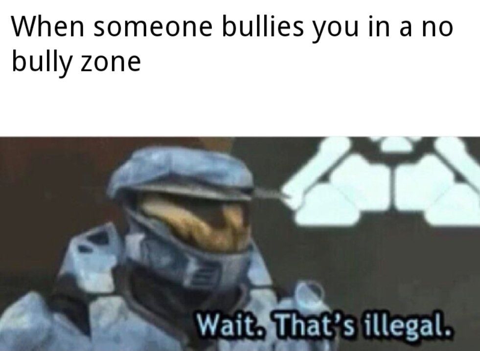 Bully hunters save me