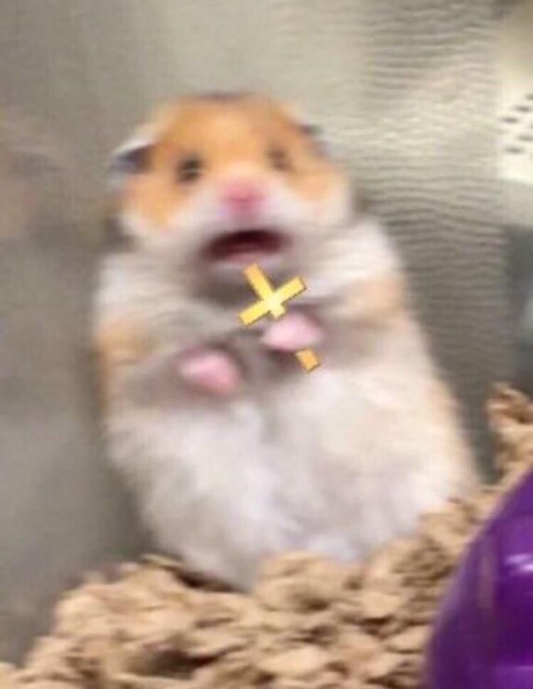 When the admins finally come for you