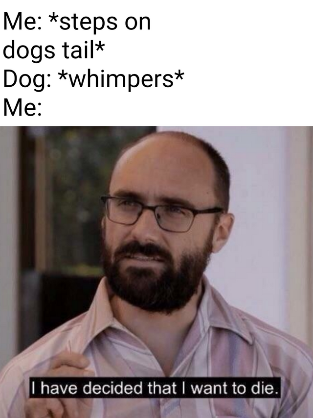 Sorry doggo