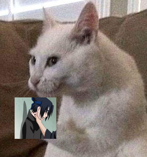 lvl 1 Sasuke vs lvl 100 Cat