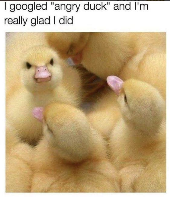 I m also glad...