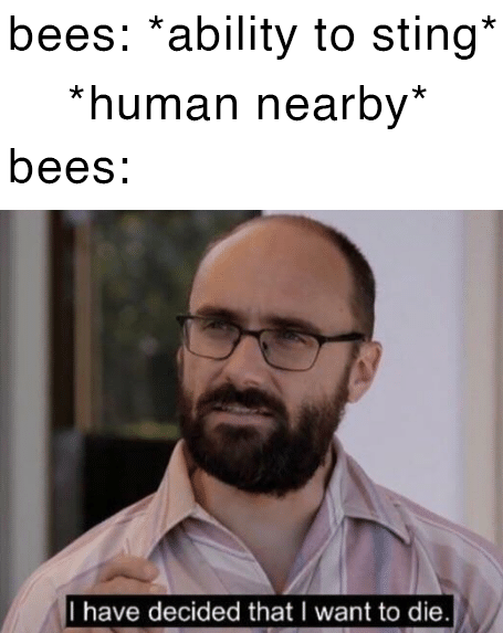 Leave me alone