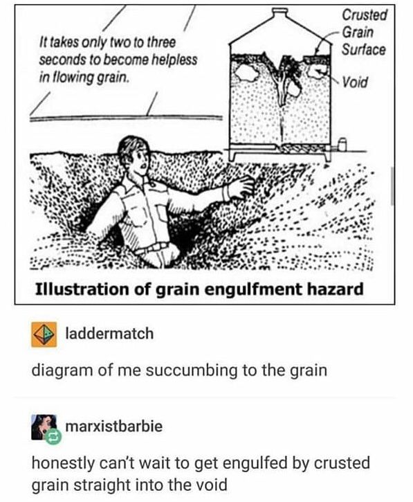 Embrace the crusted grain void