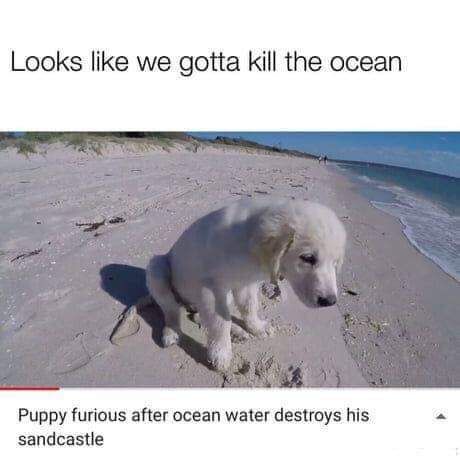 this is why we should throw more plastic into the ocean