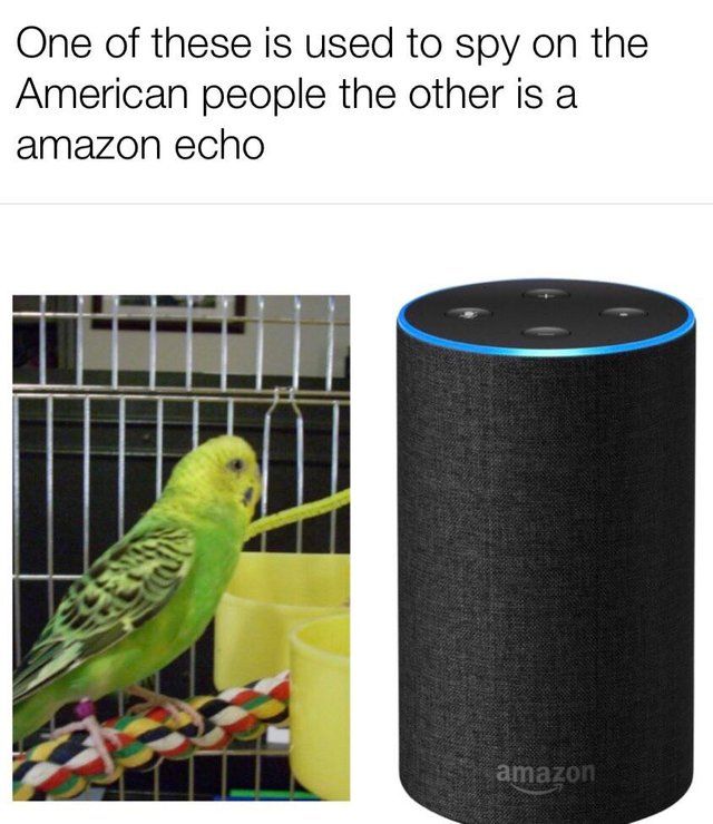 which one is it?