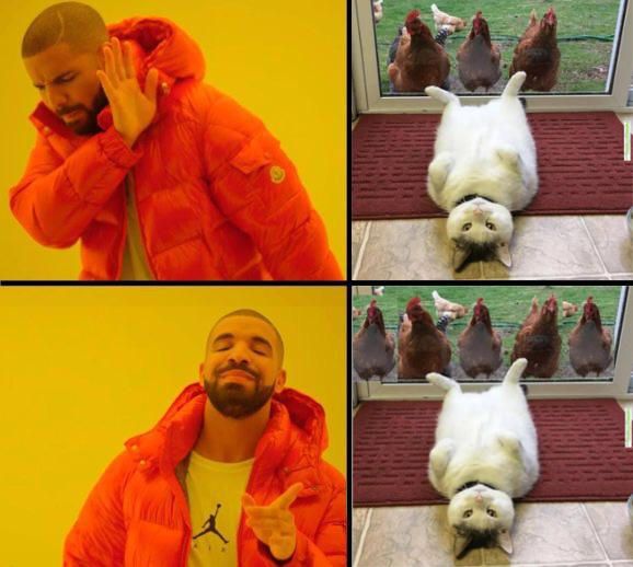 A cat and some roosters, what?