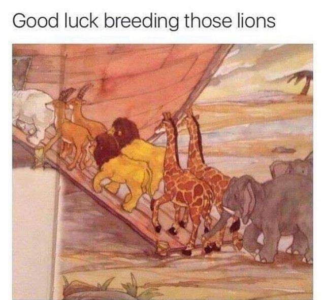 Good luck breeding those lions, Noah.