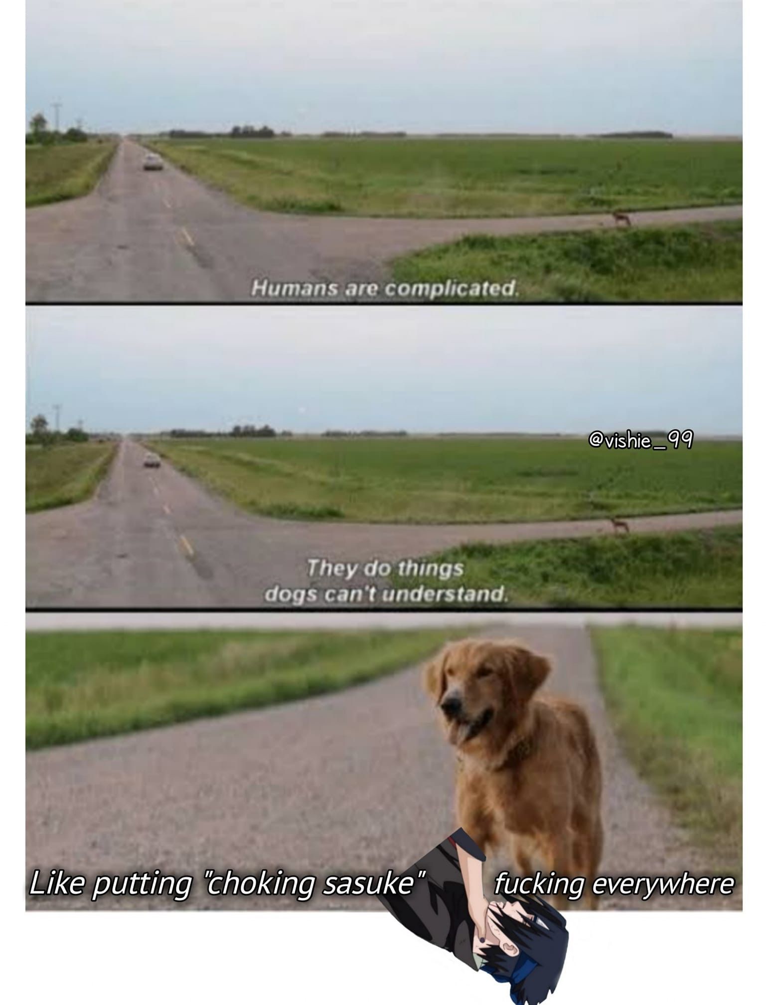 Good boy