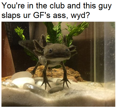 I won't stop