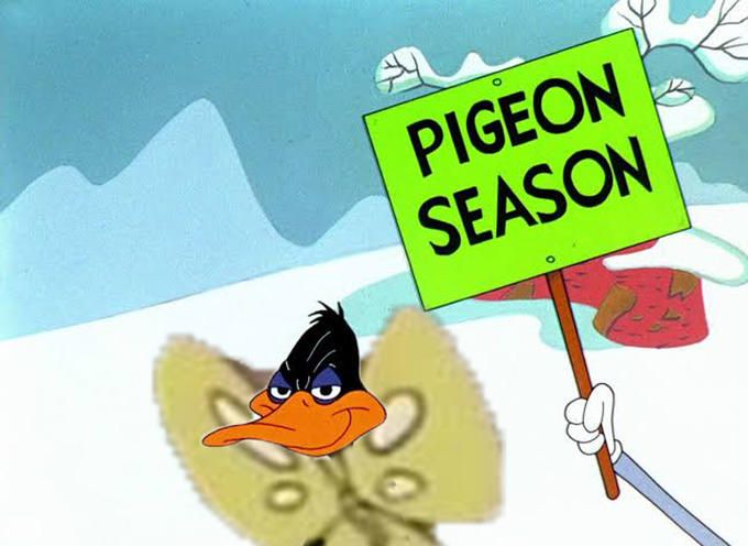 Butterfly season