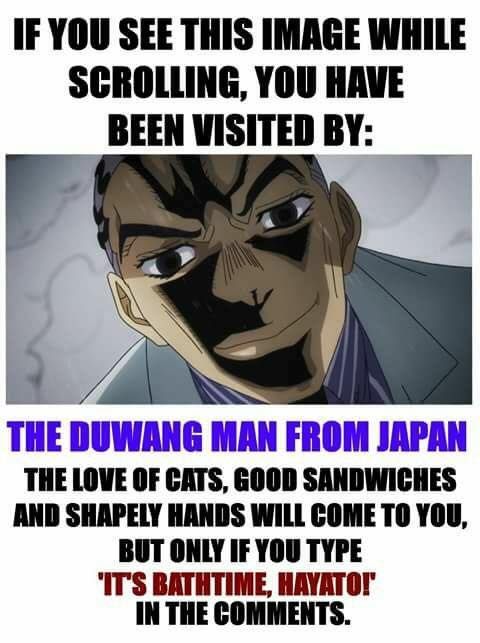 Good beans Wellington