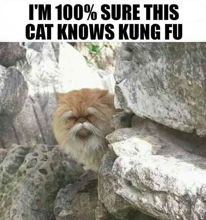 mr catyagj, he knows some shit