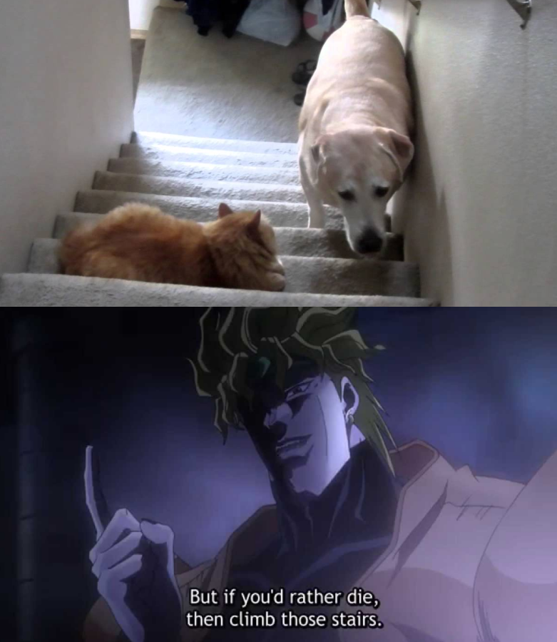 GoodBoy's Bizarre Adventure