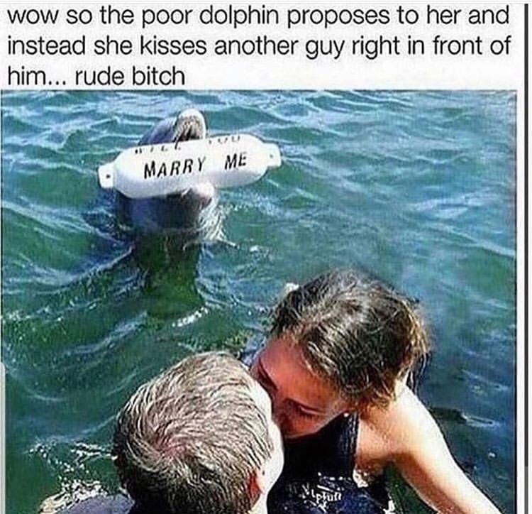 Poor dolphin