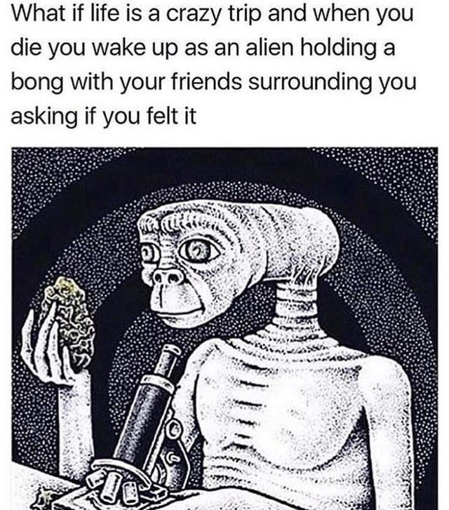 would explain a lot