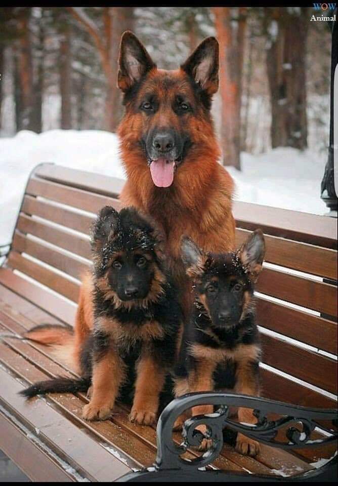 On a scale of 1-10, how beautiful is this family photo?