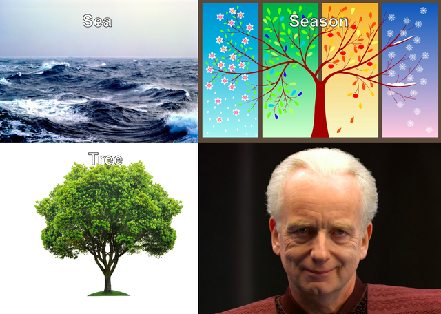 Tree-