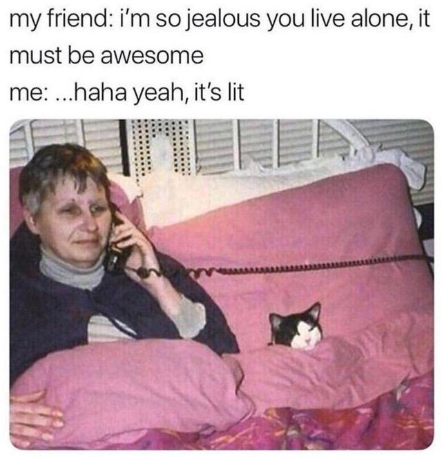 at least he has a cat