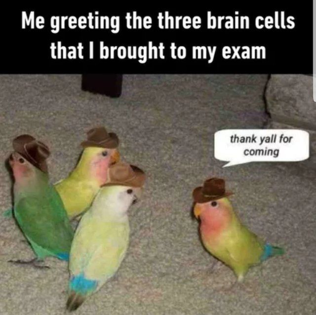 it be like