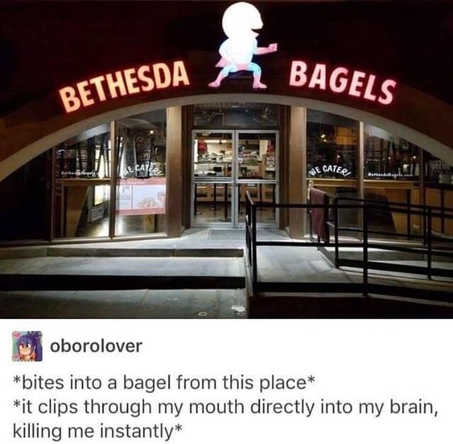 bugs