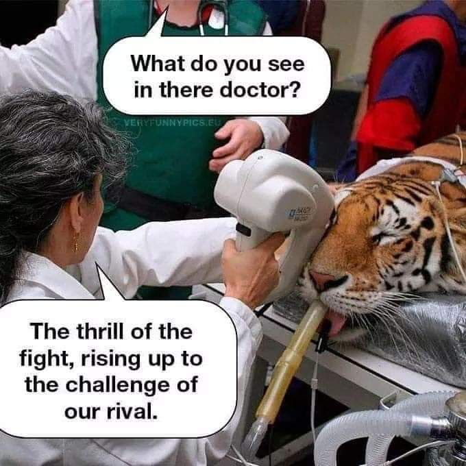 The eye of the tiger!