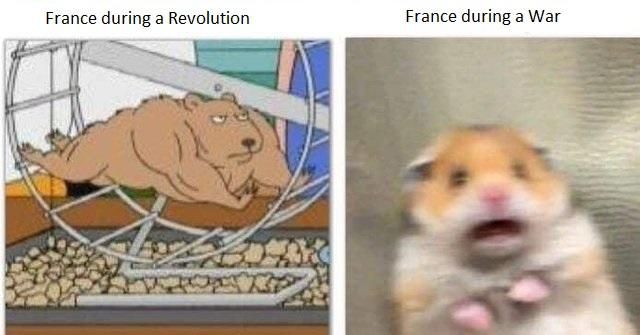 France doing France-things