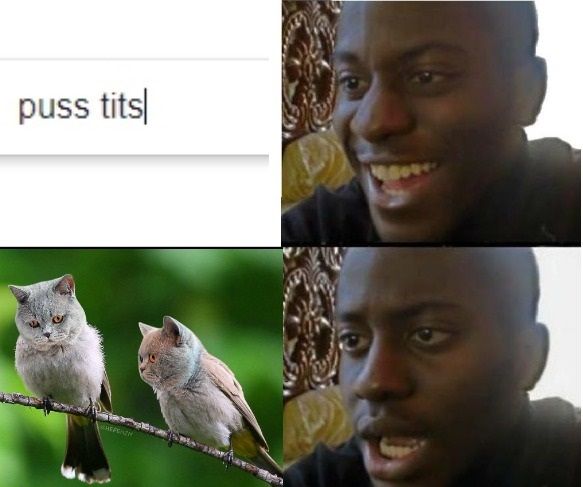 Nice tits