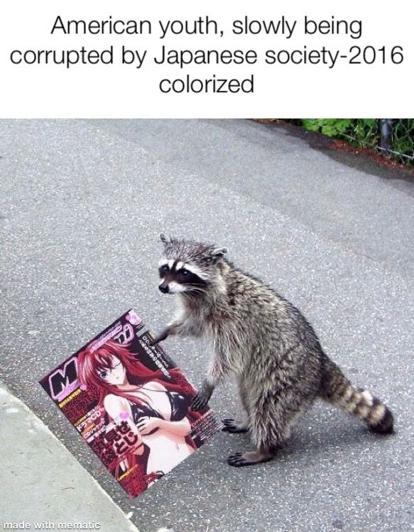 No Rocket, come back from the dark side!!!