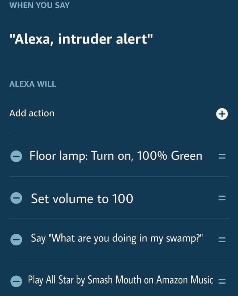 Alexa, intruder alert