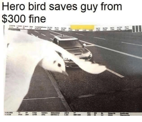 Not all heroes fly with capes
