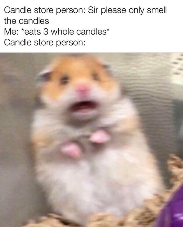 but are they made of bee wax?