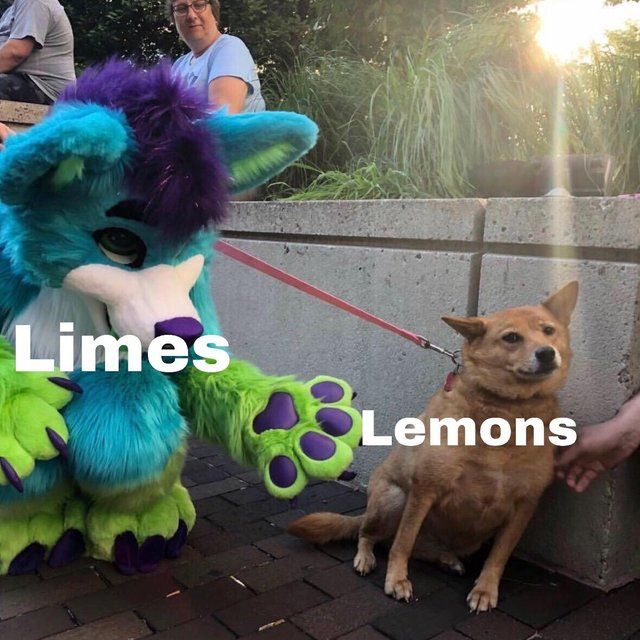 they are just degenerate lemons
