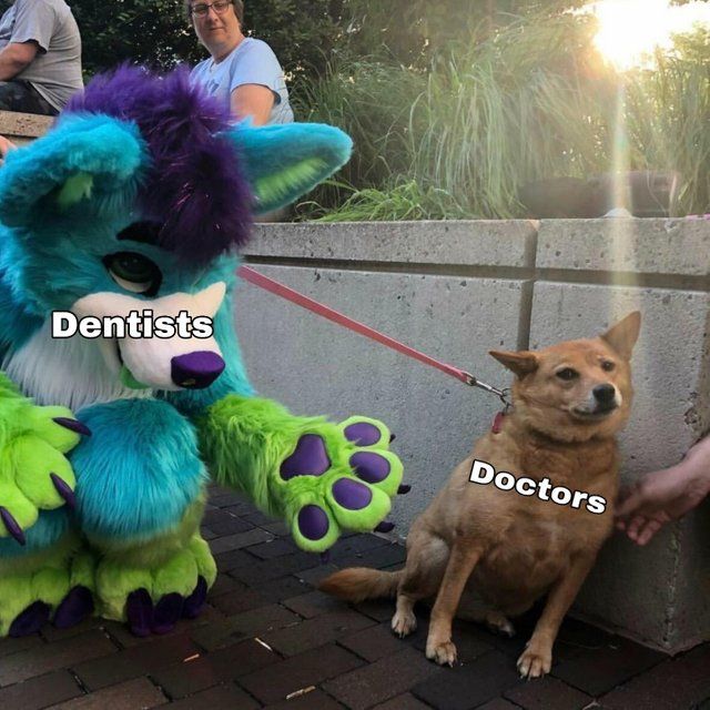 wannabe doctors