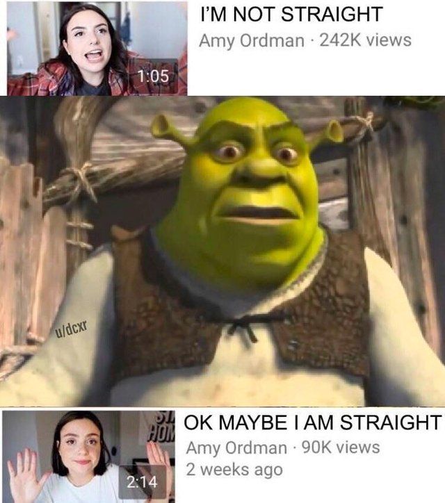 no gay people in my swamp