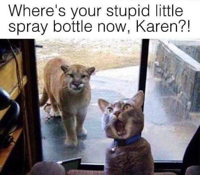 Damnit Karen