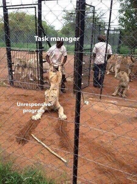you were supposed to defeat them