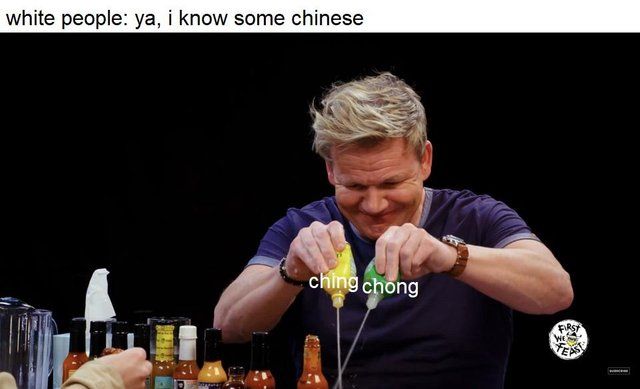 you know I am somthing of a chinese myself