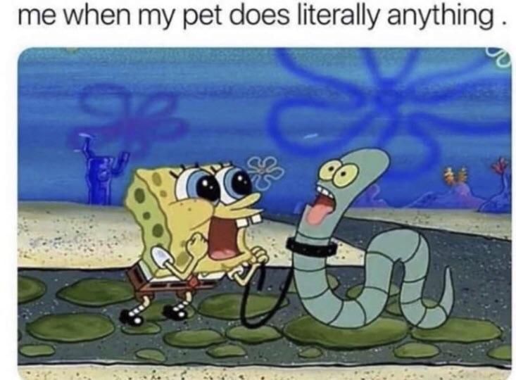 who is a good boi