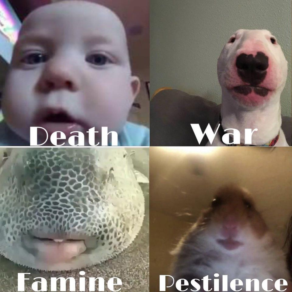 the four horsemen of autism