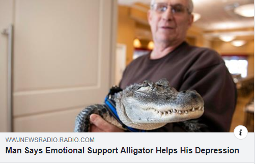 "I just have him eat everyone that causes my depression"
