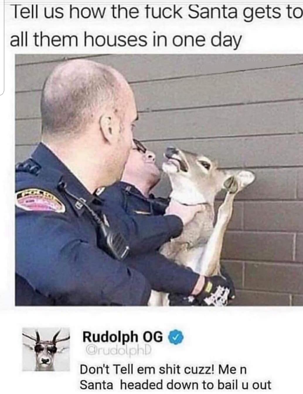Rudolph a real one