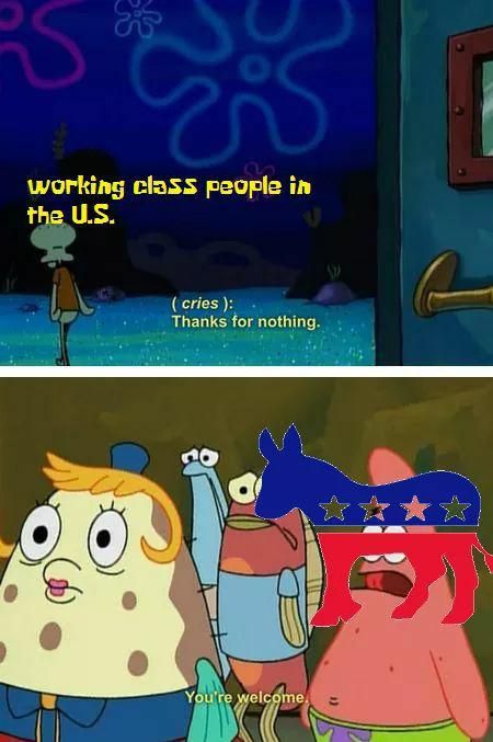 yes I'm still bitter about Bernie
