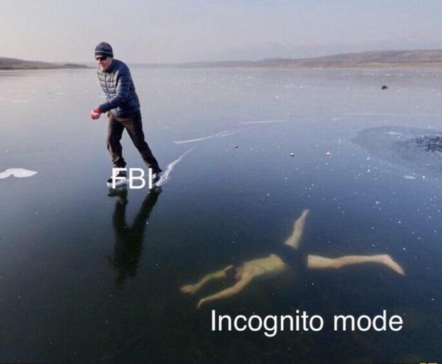 Stealth 100