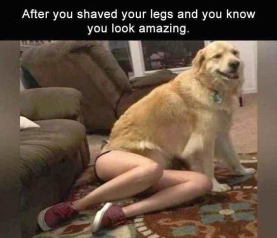 After you shaved your legs and you know you look amazing