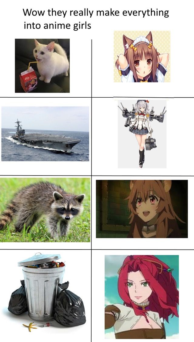 Will I ever understand anime?